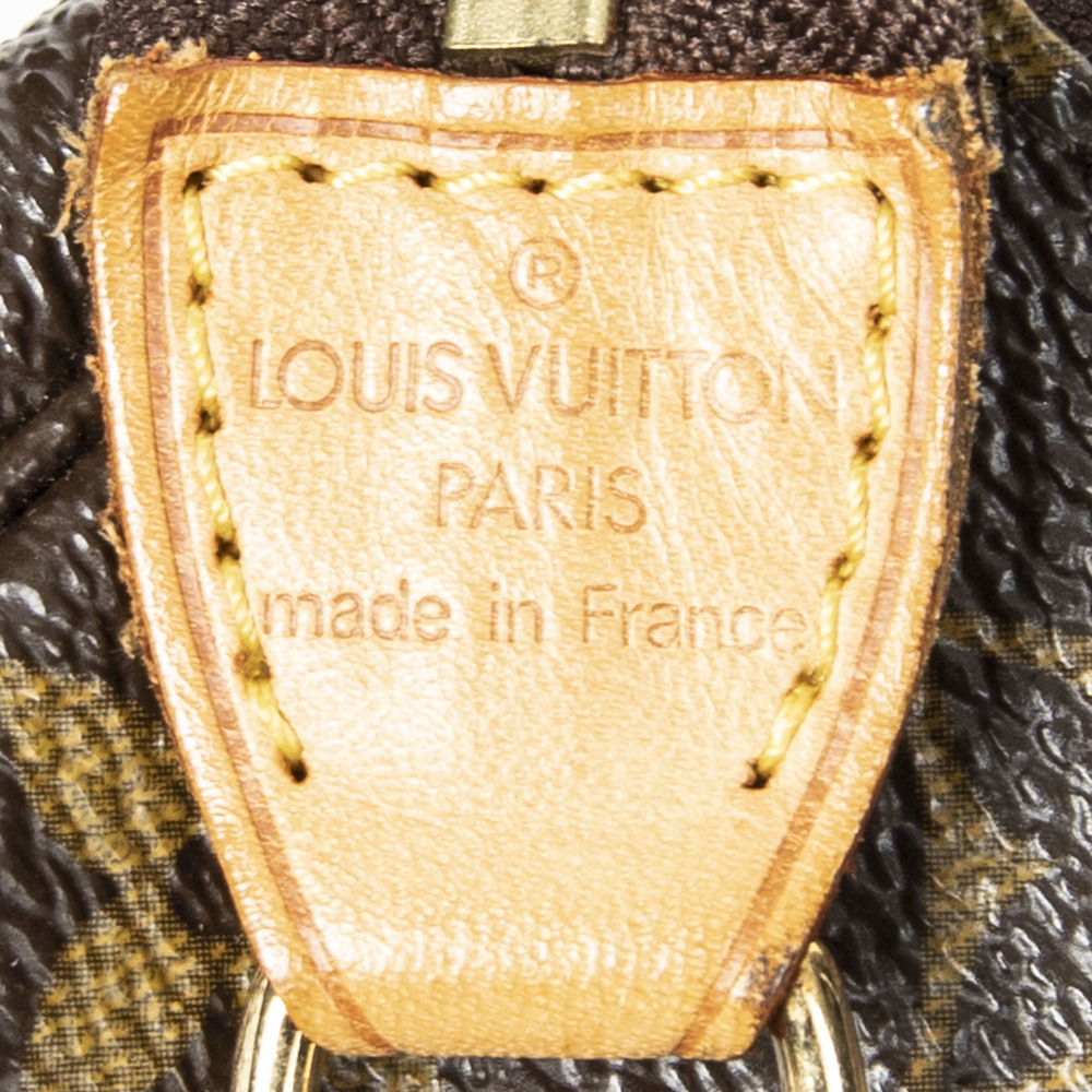 Louis Vuitton Mini Pochette Accessories - Picture 10 of 10